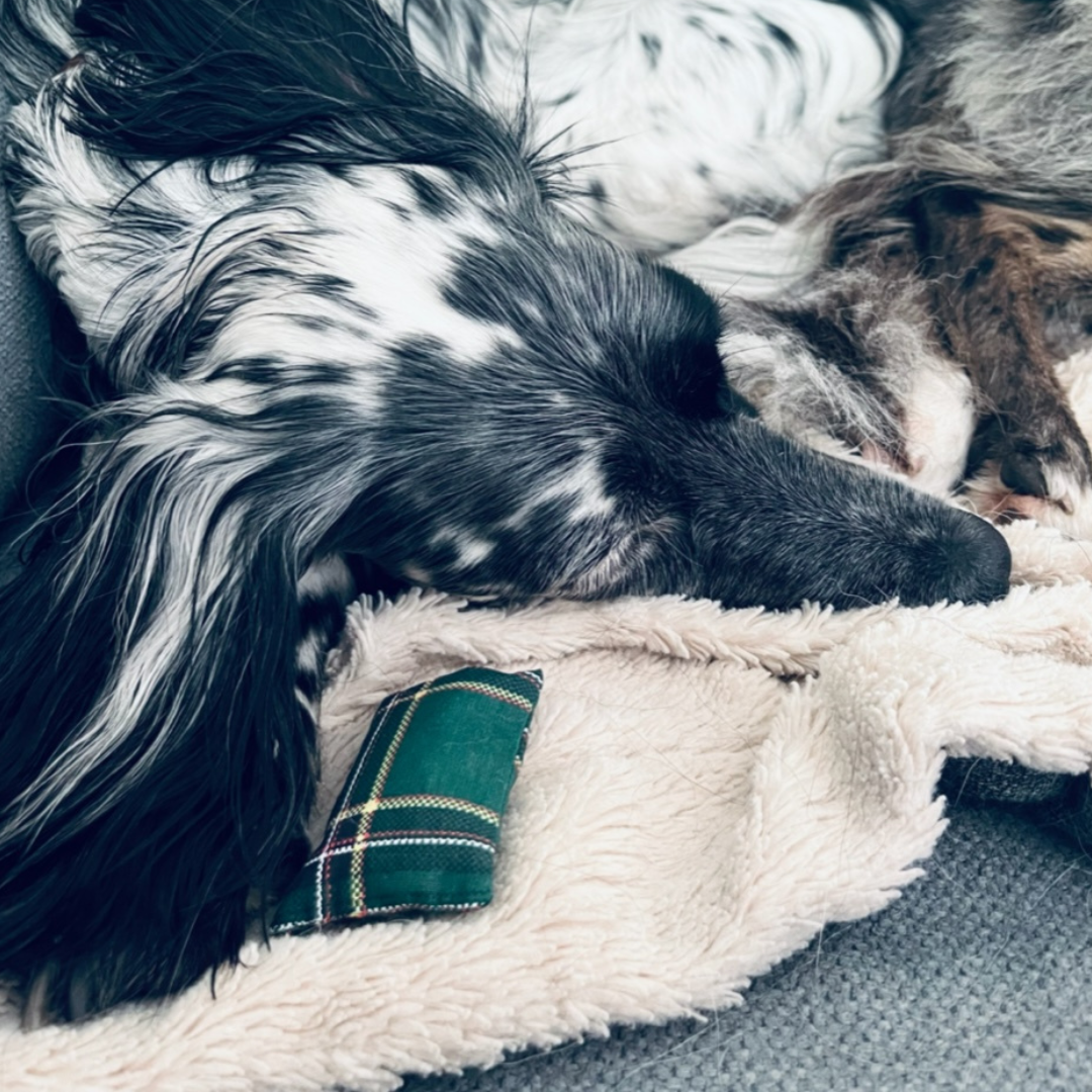 Konditionierte Entspannung