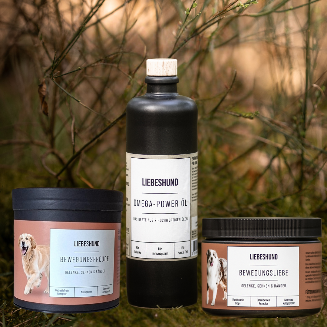 Bewegungswohl Bundle
