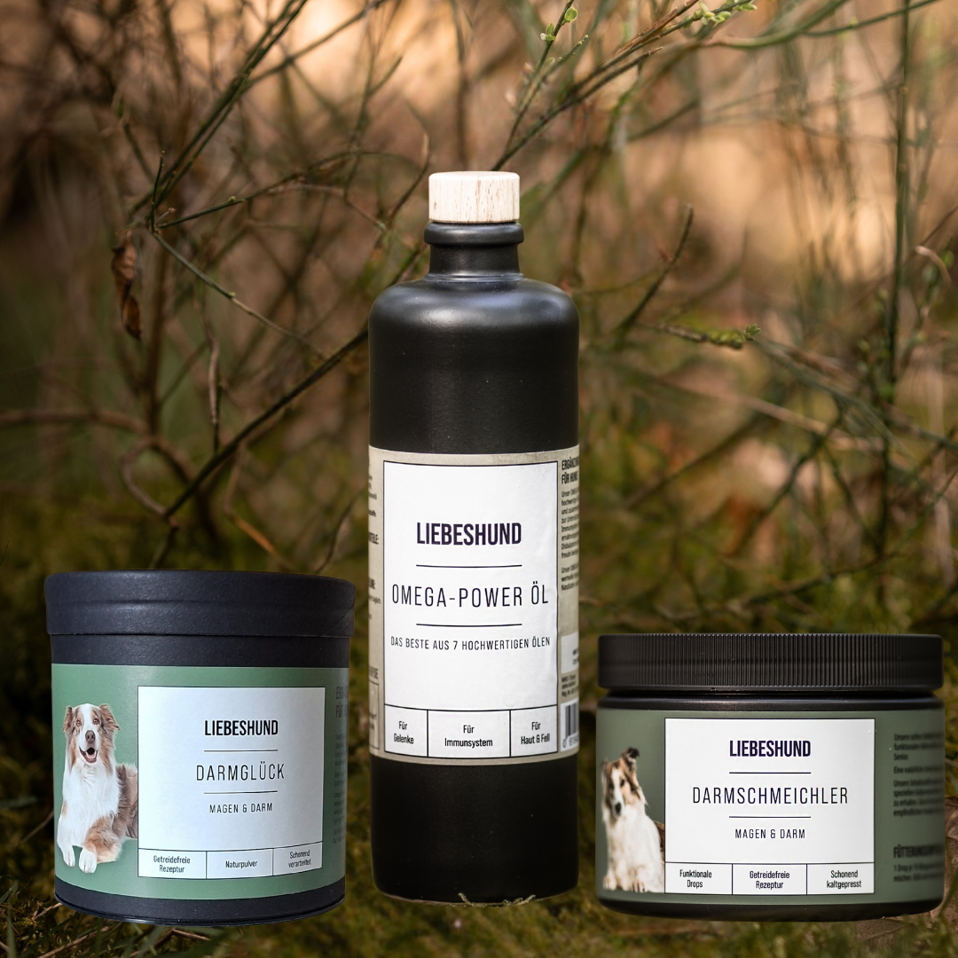 Darmwohl Bundle