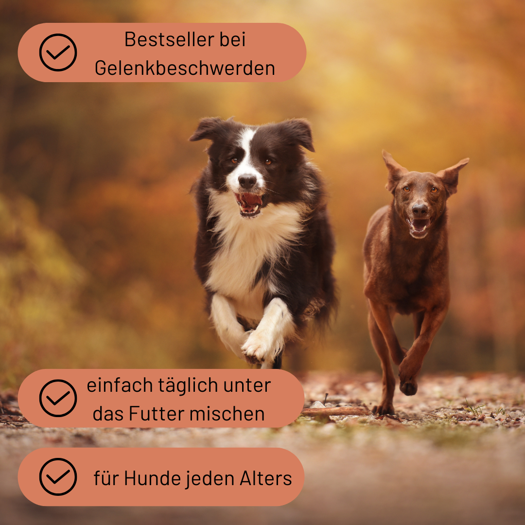 Bewegungsfreude Bundle