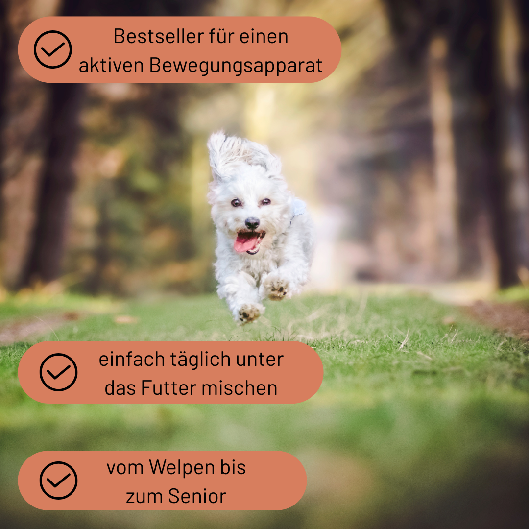 Bewegungsliebe Bundle