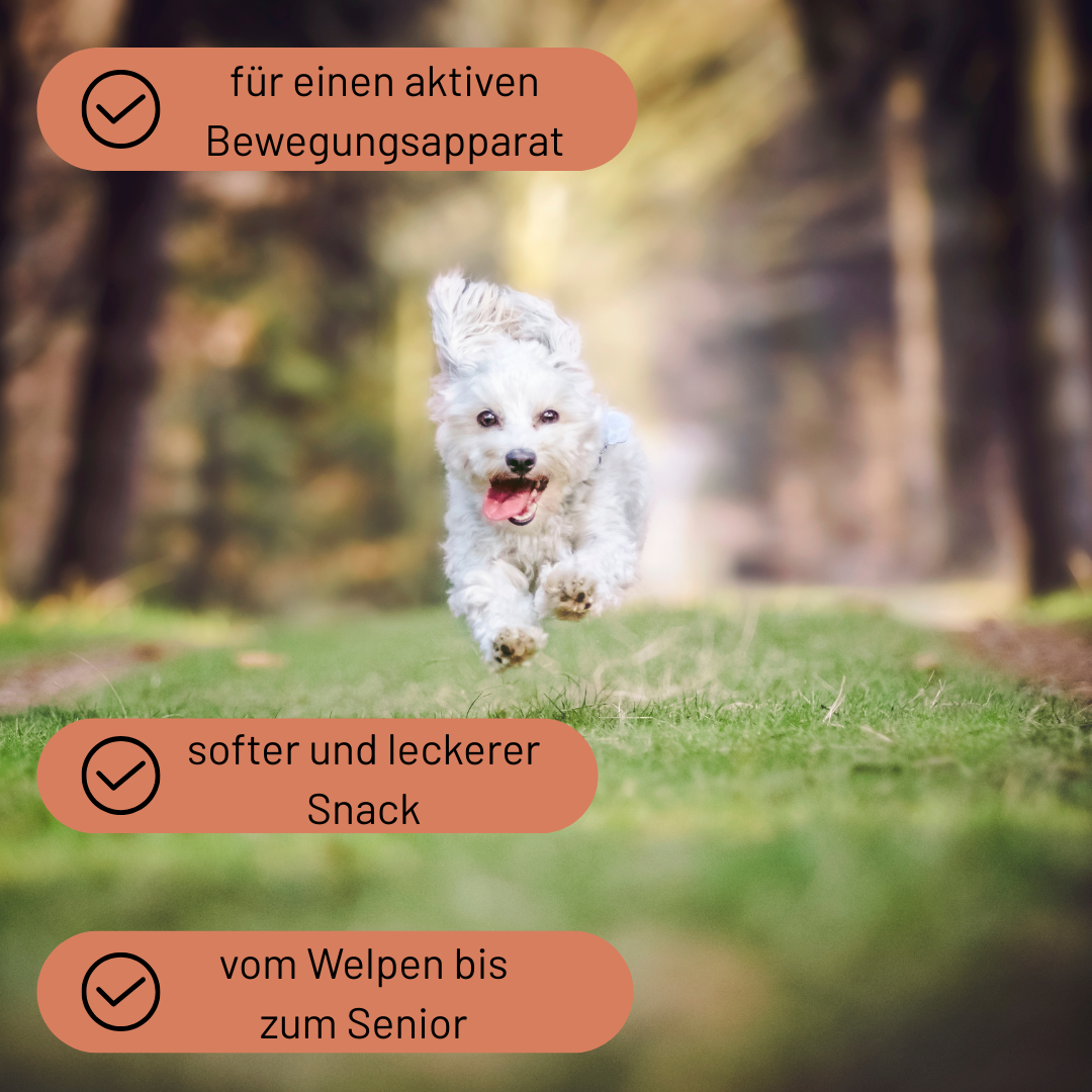 Funktionale Drops Bewegungsliebe