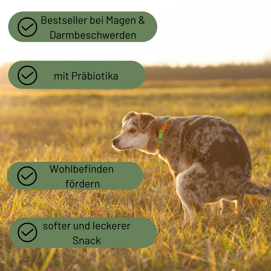 Funktionale Drops Darmschmeichler