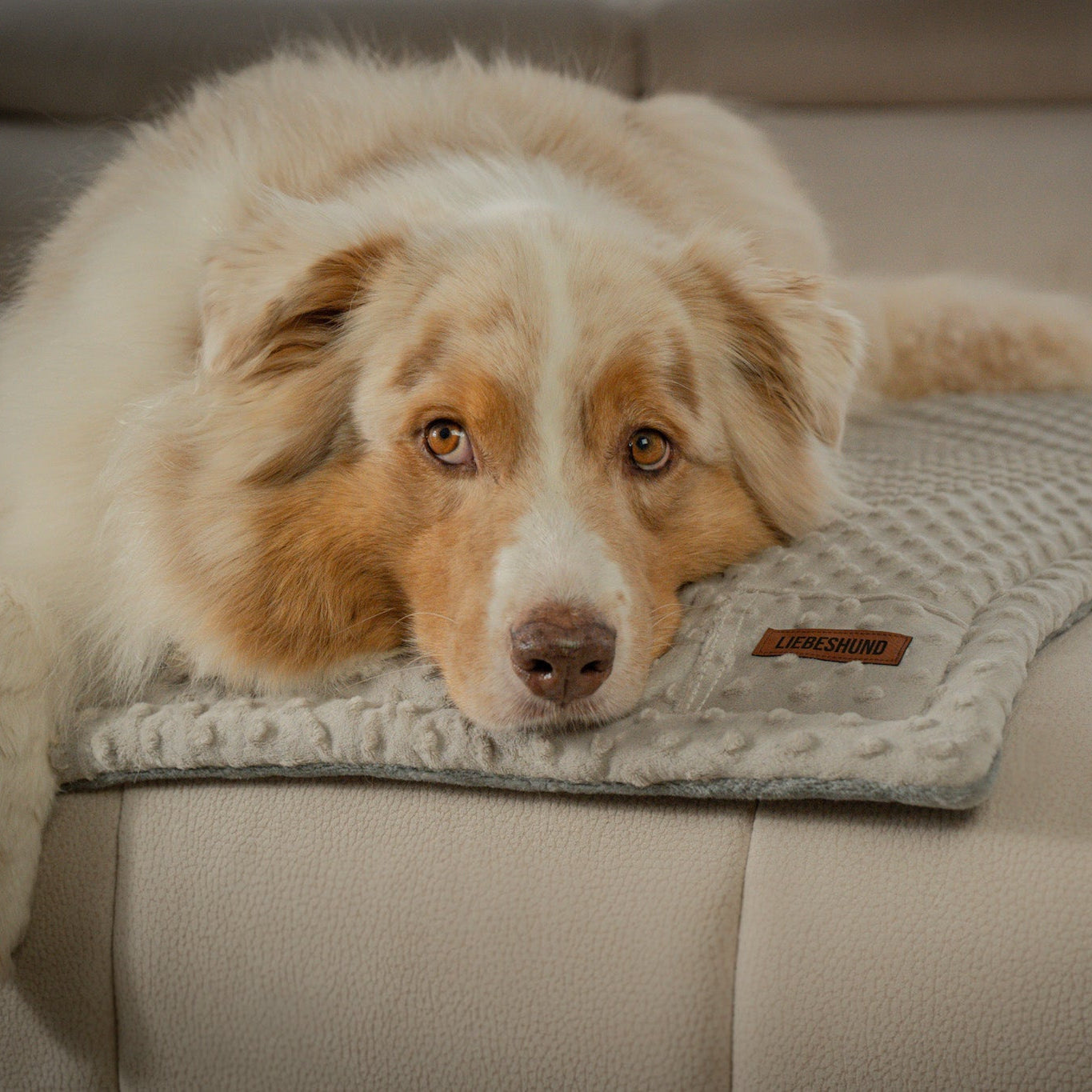 LIEBESHUND Hundedecke LEOPOLD