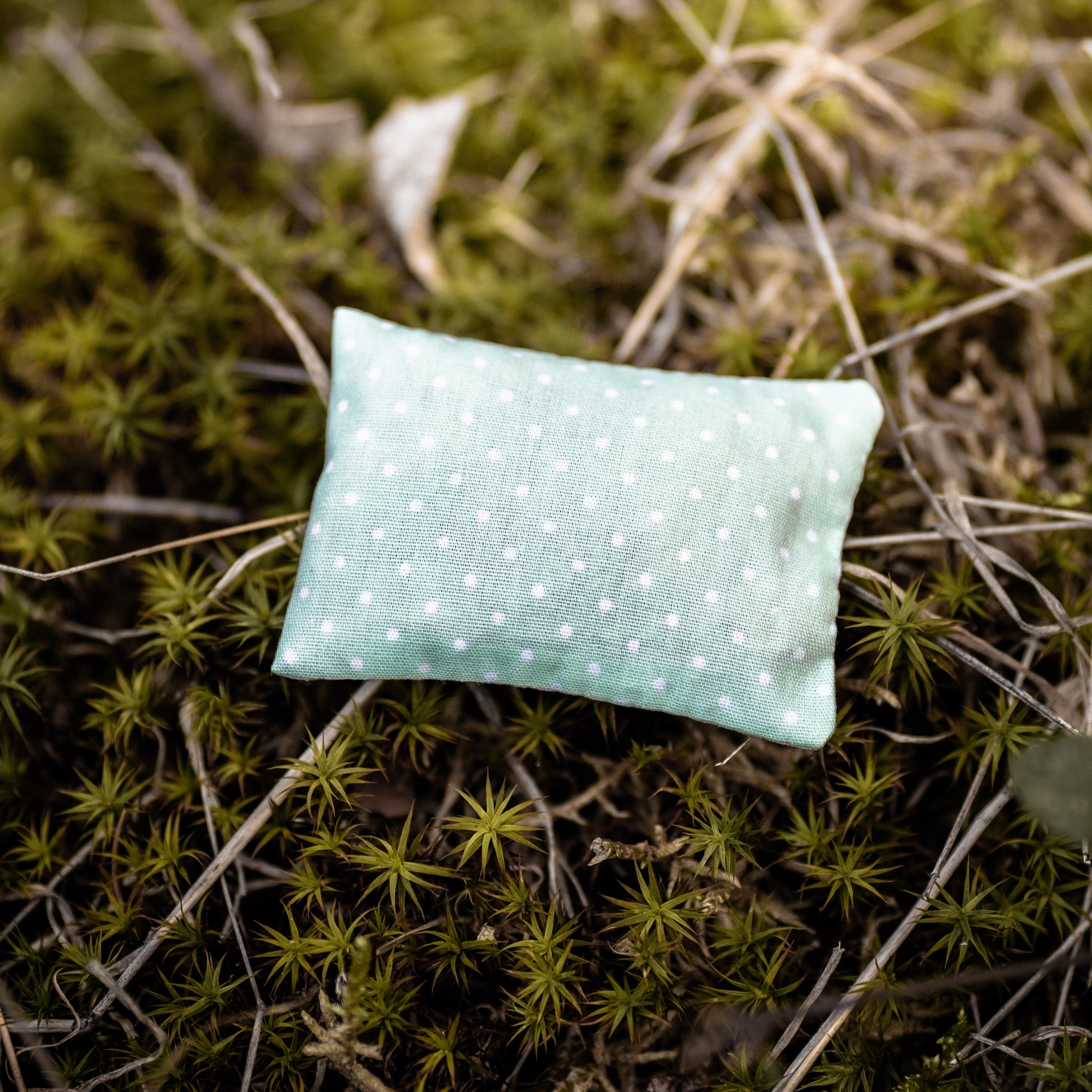 LIEBESHUND_KRAeUTERKISSEN_PLATZWART