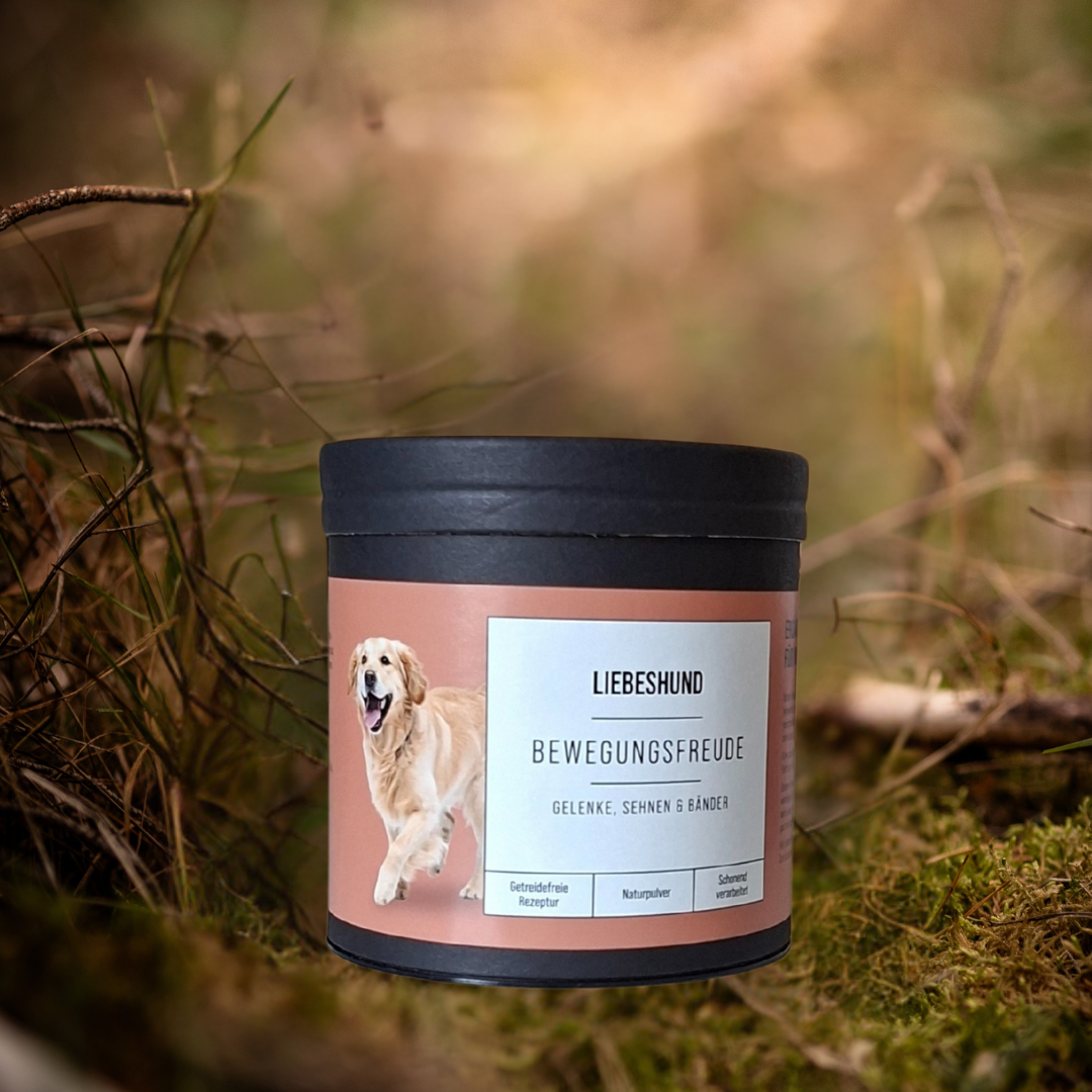 Naturpulver Bewegungsfreude