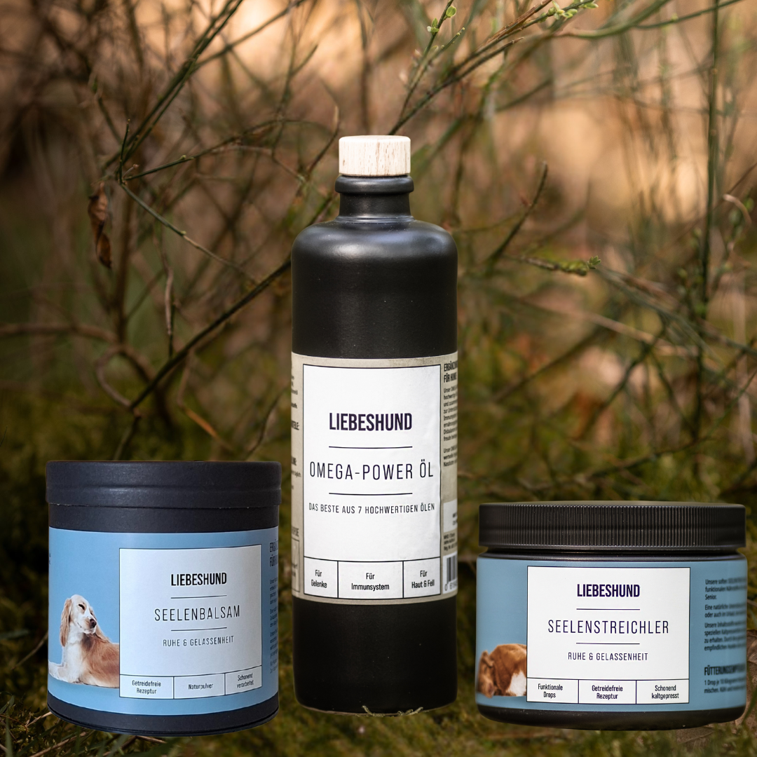 Seelenwohl Bundle