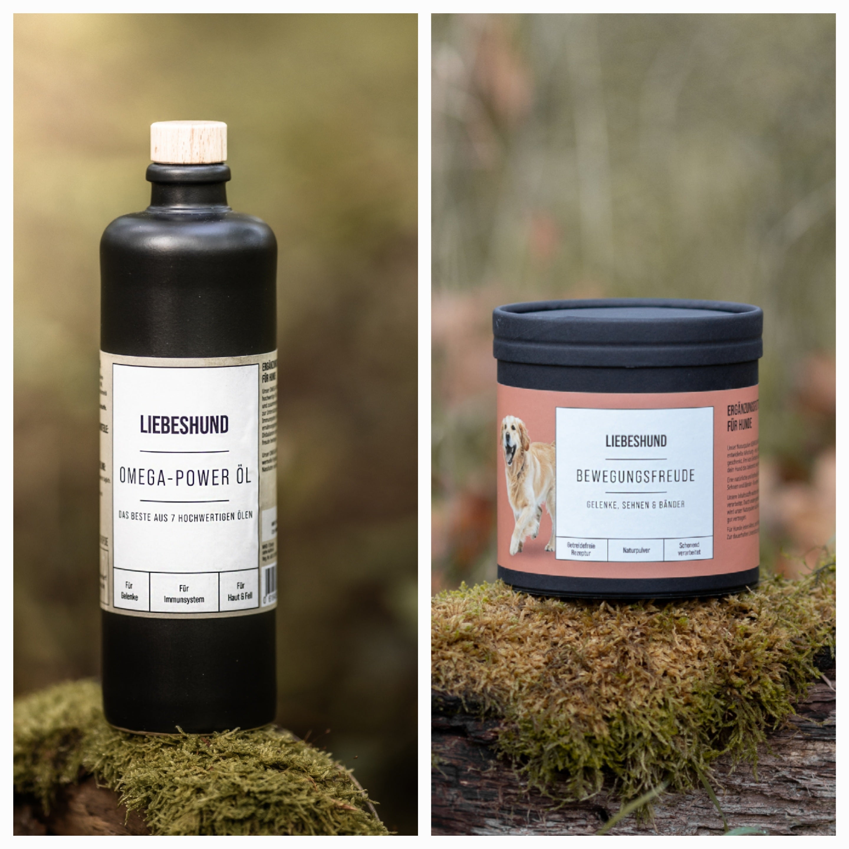 Bewegungsfreude Bundle