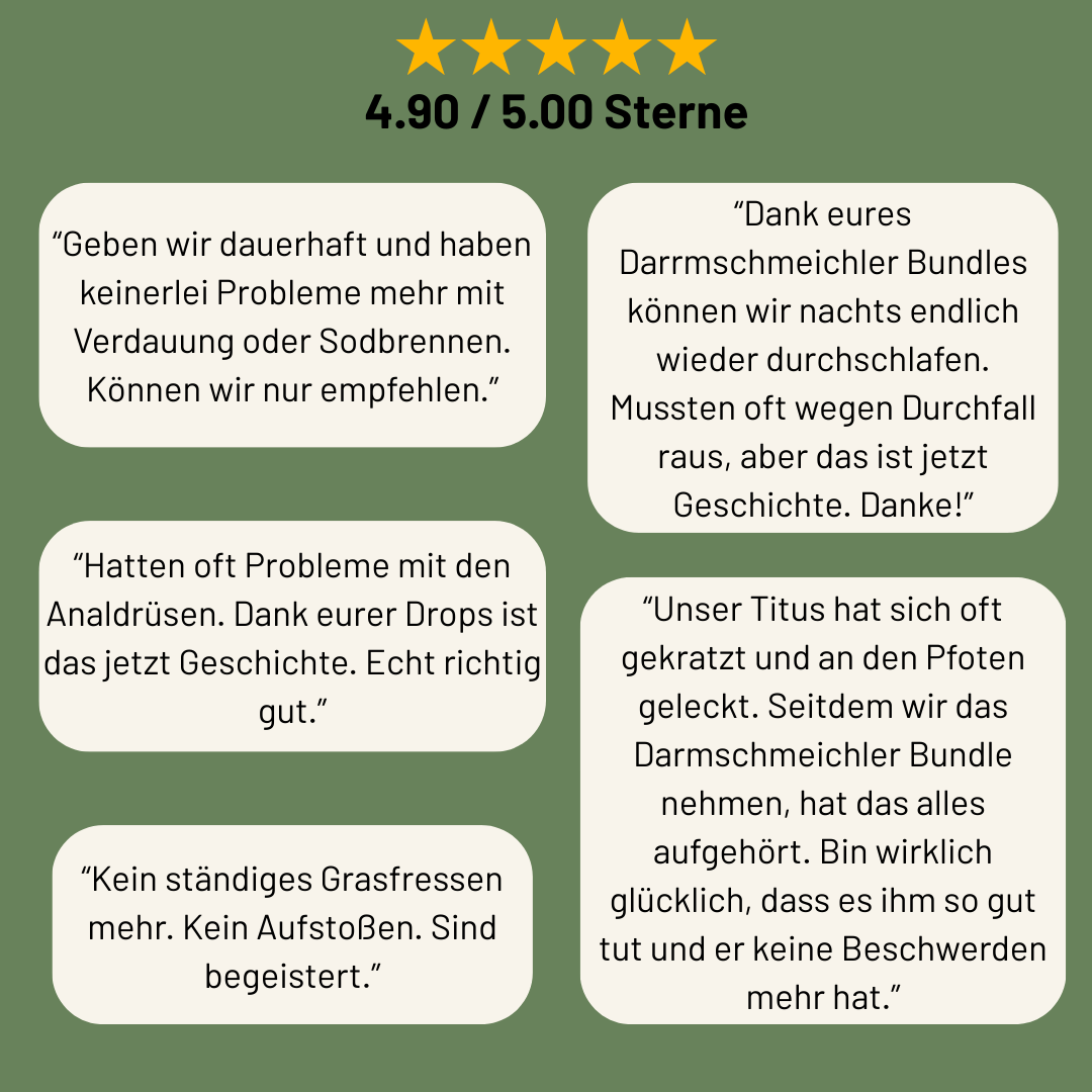 Wohlfühl-Bundle