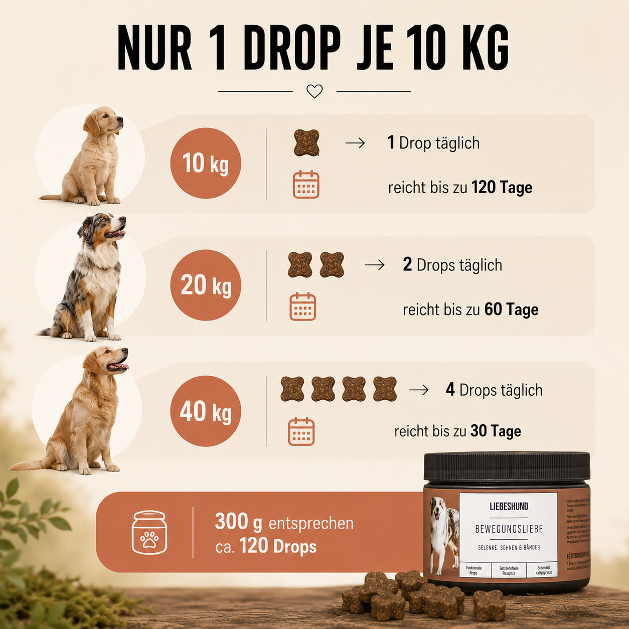 Bewegungsliebe Bundle