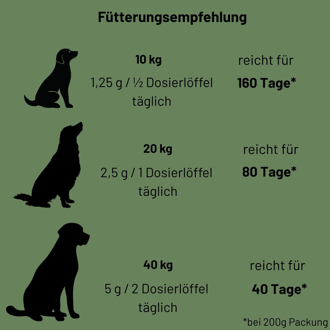 Darmglück Bundle