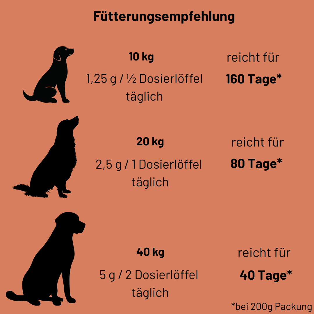 Bewegungsfreude Bundle