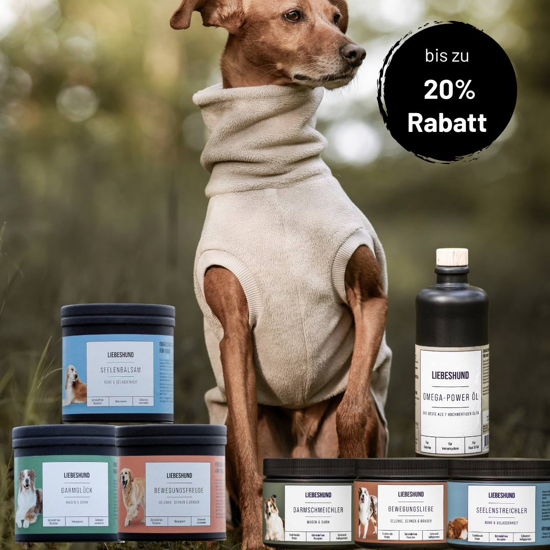 LIEBESHUND Bundle