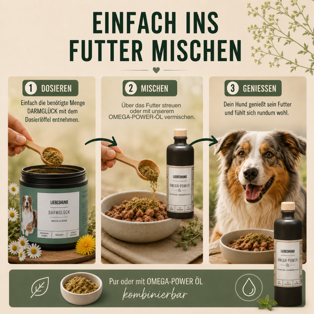 Naturpulver Darmglück