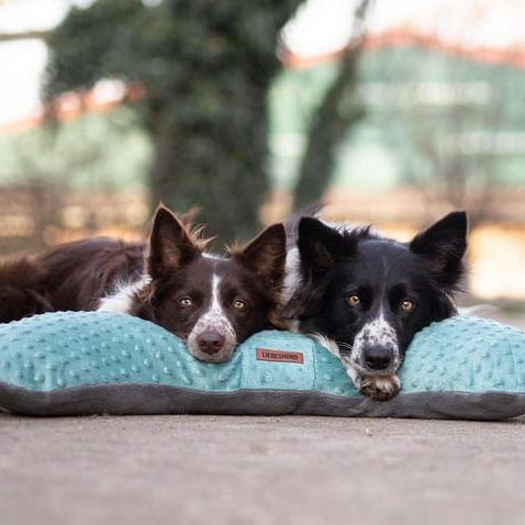 LIEBESHUND Hundekissen PRAYA 