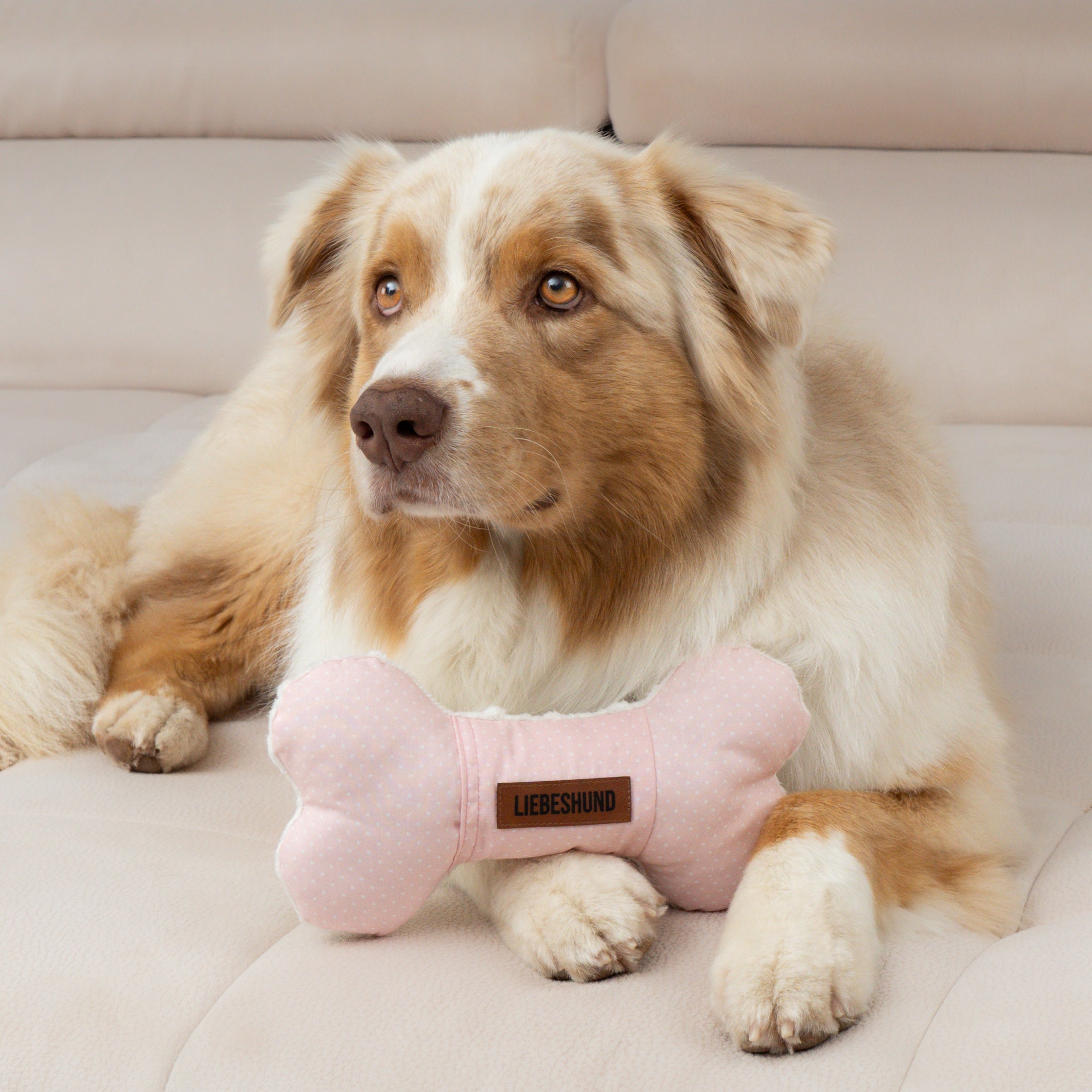 LIEBESHUND KISSEN ANNA