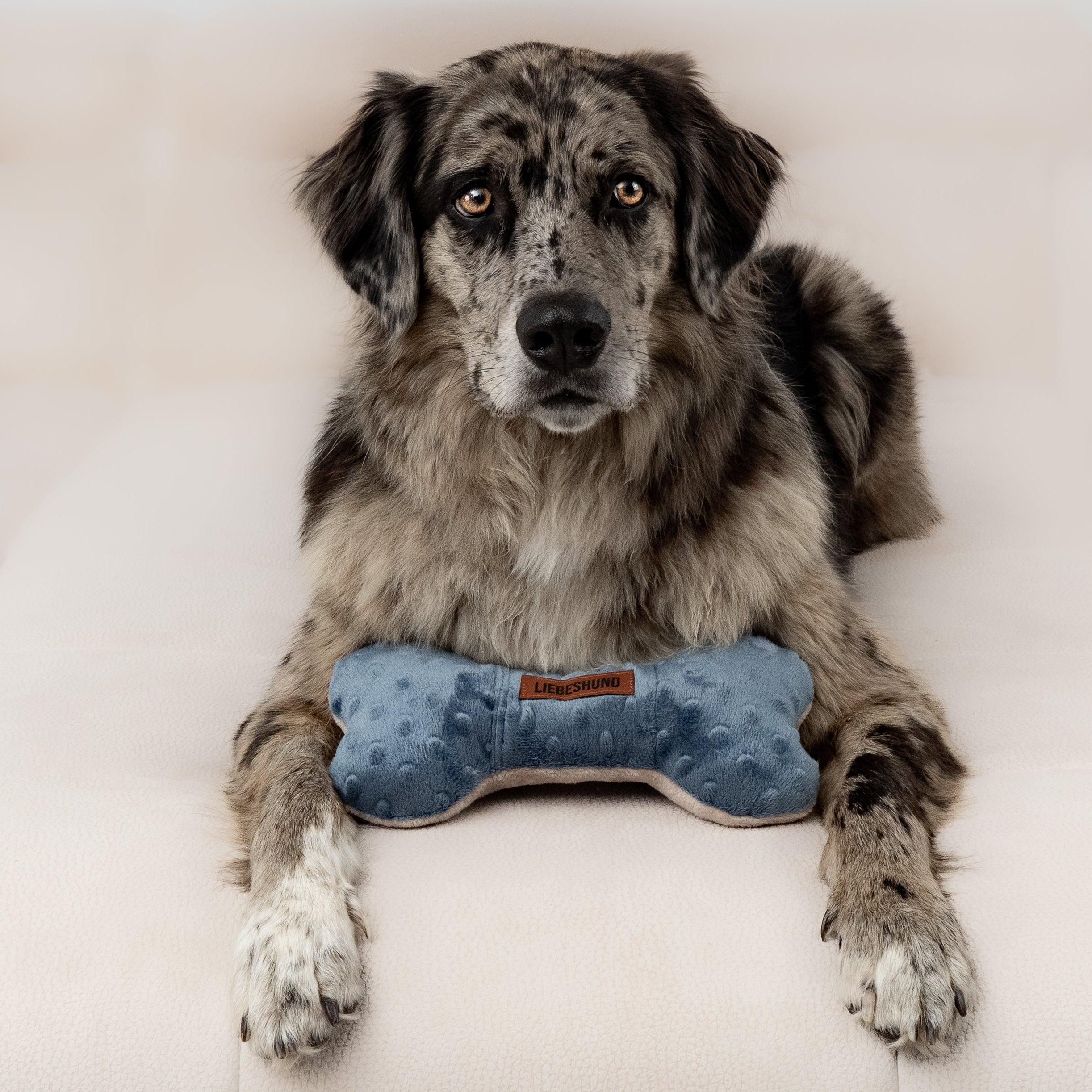 LIEBESHUND_KISSEN_FIONA