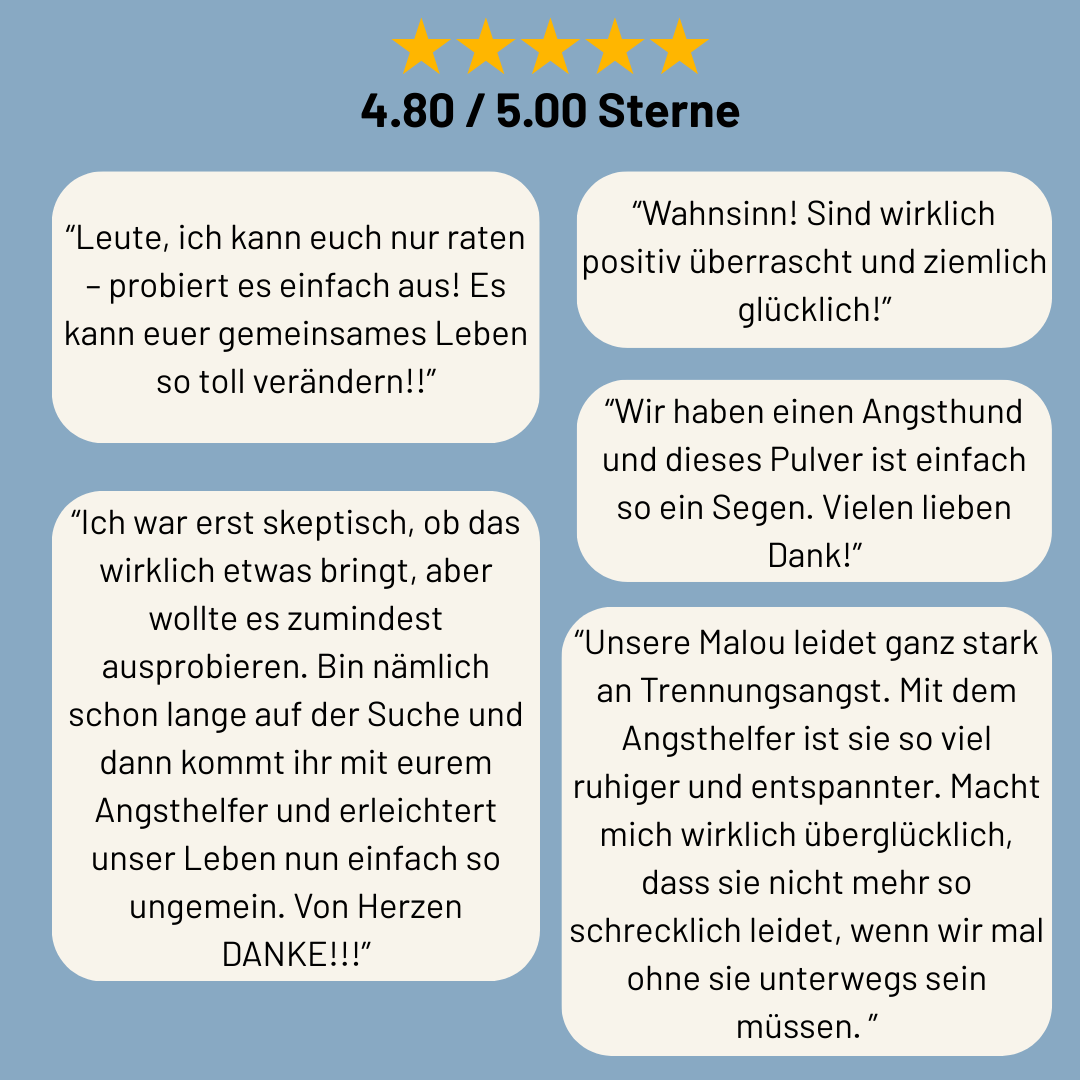 Wohlfühlzeit Bundle