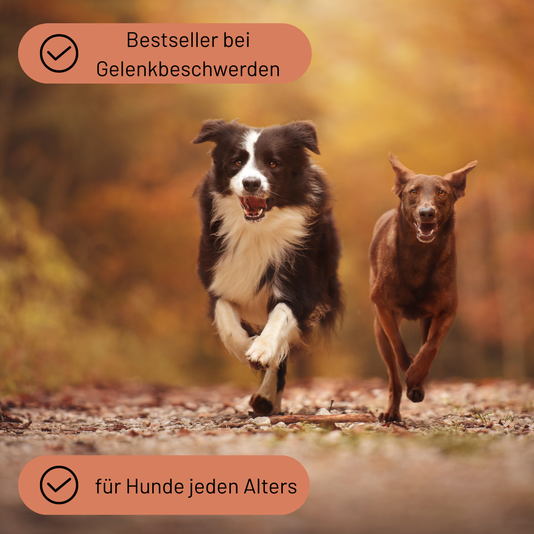Naturpulver Bewegungsfreiheit