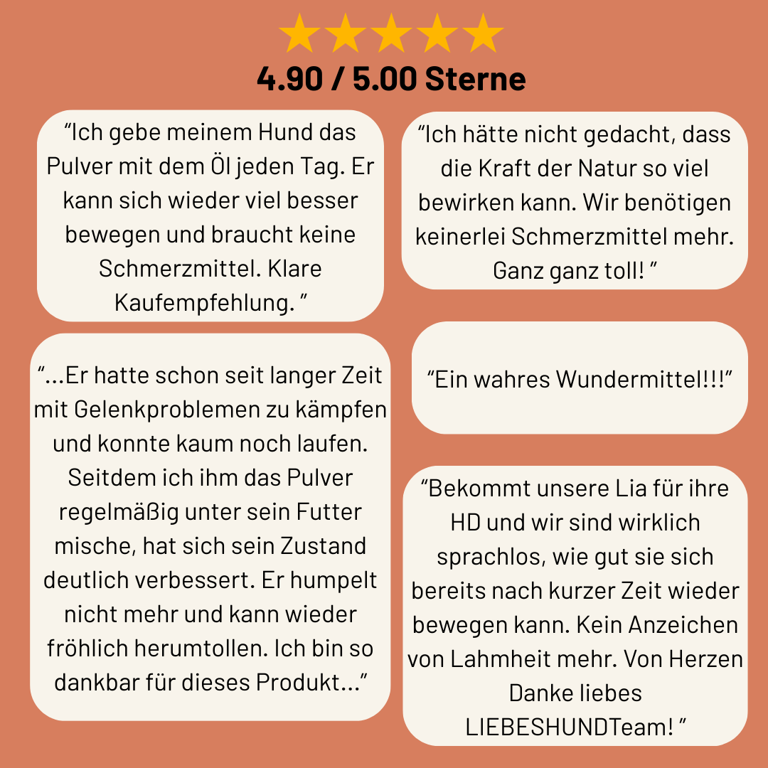 Naturpulver Bewegungsfreiheit