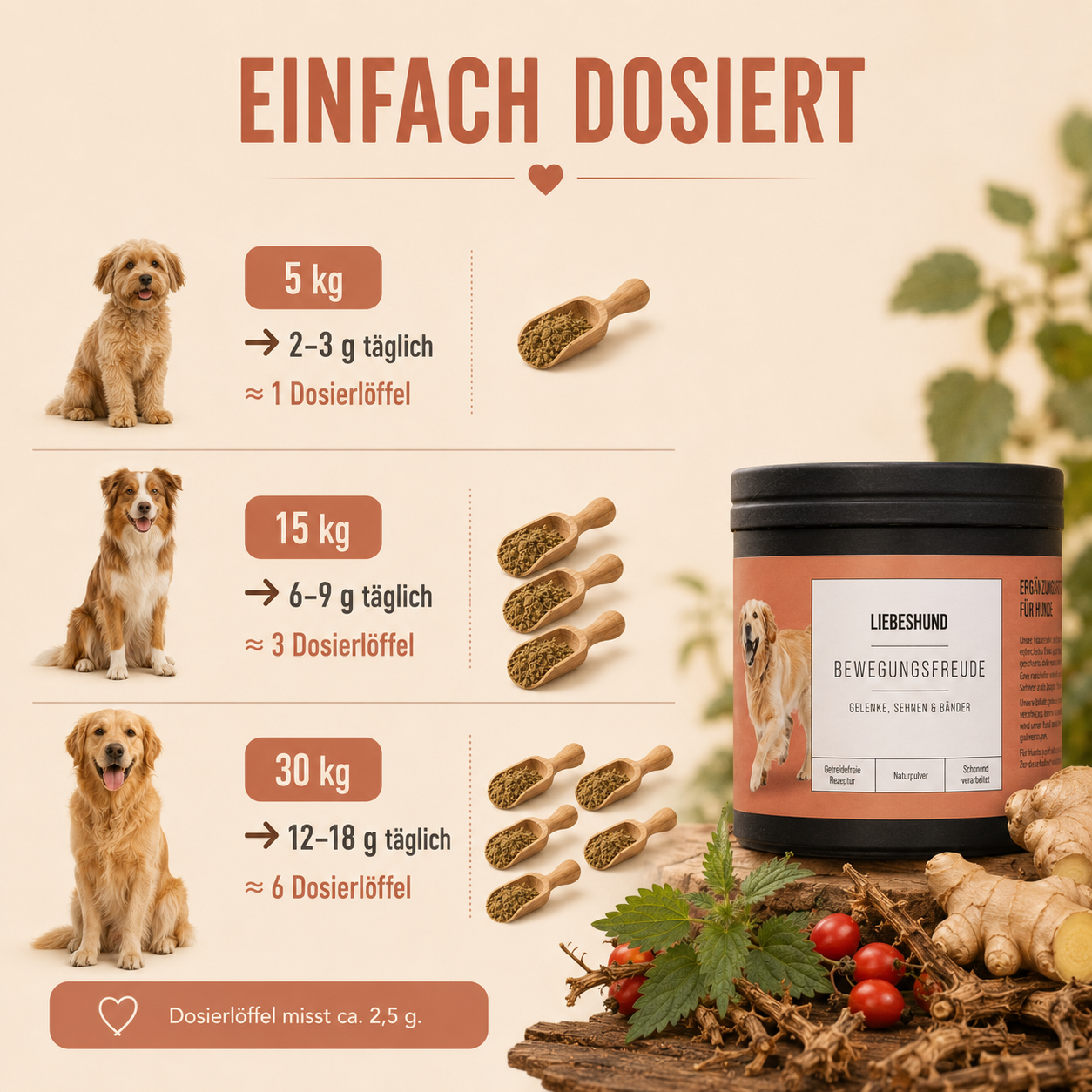 Bewegungsfreude Bundle