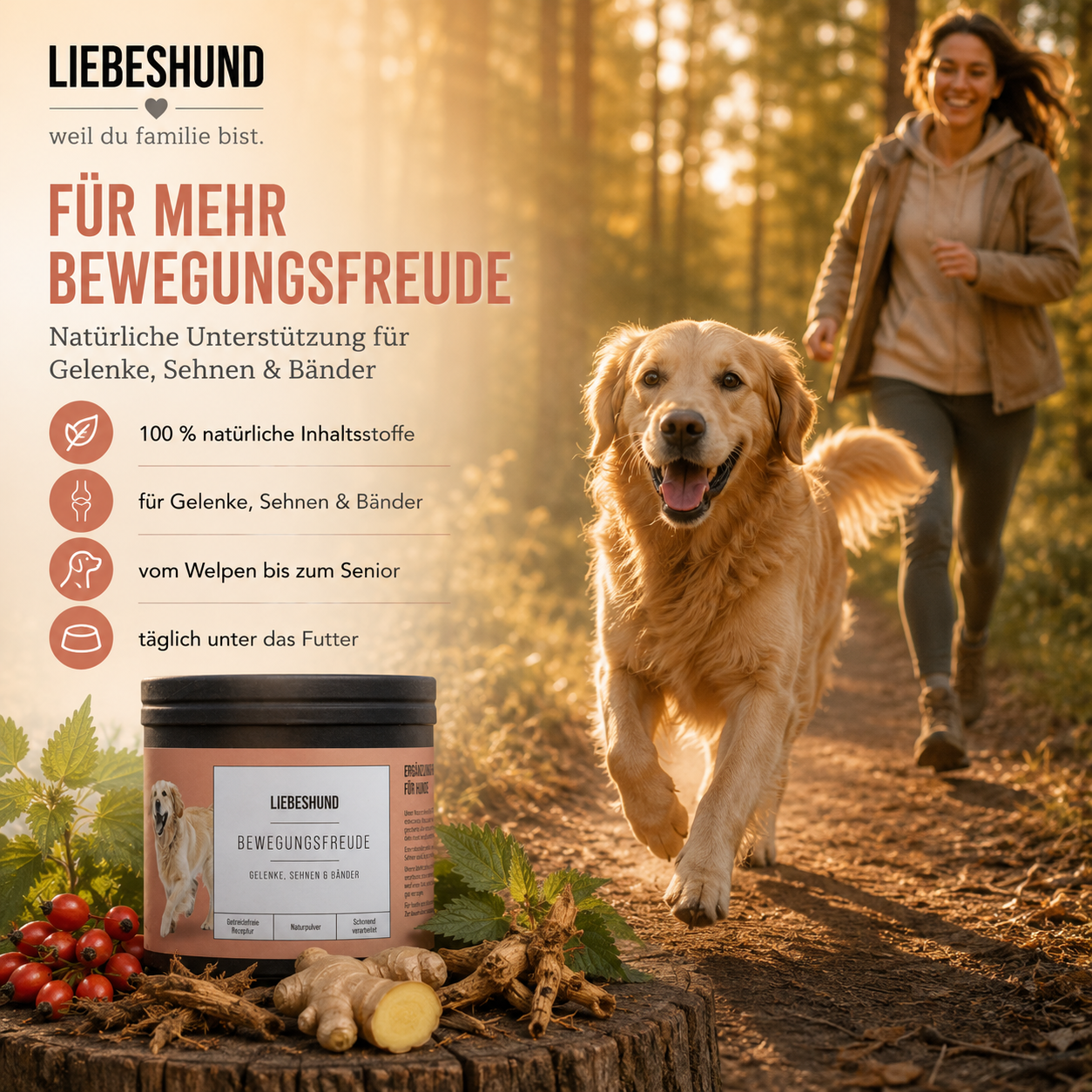 Bewegungsfreude Bundle