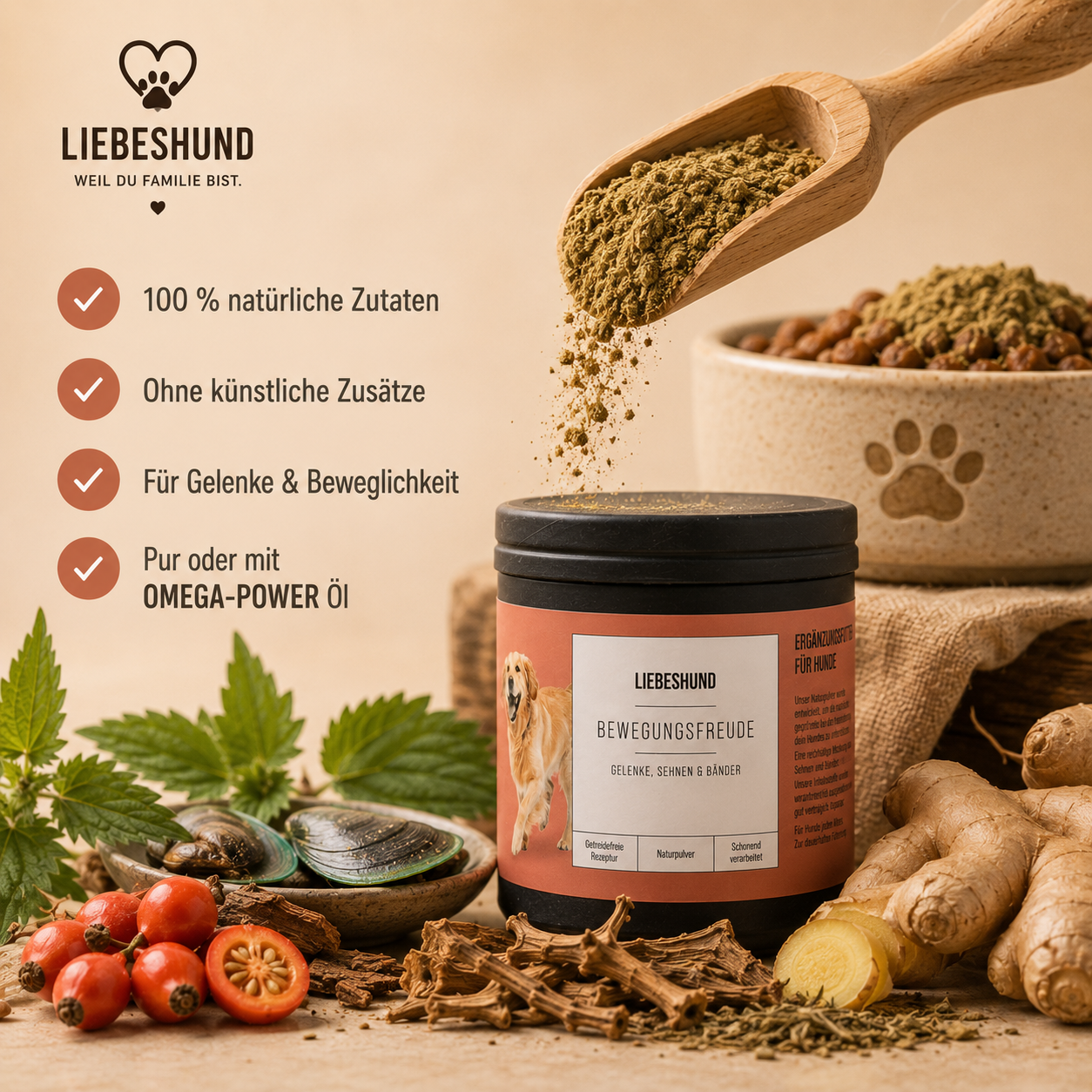Bewegungsfreude Bundle