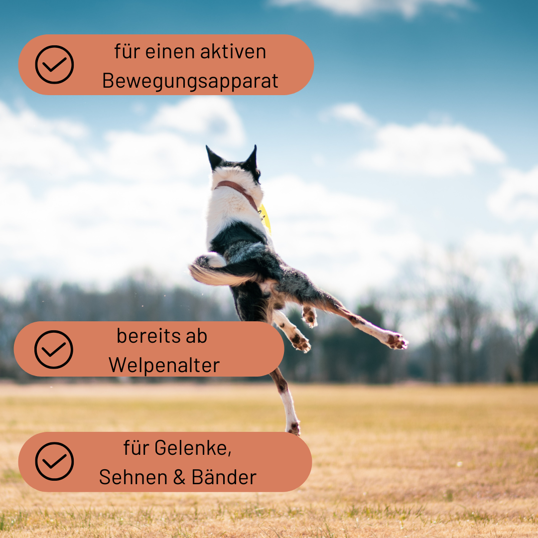 Naturpulver Bewegungsfreude
