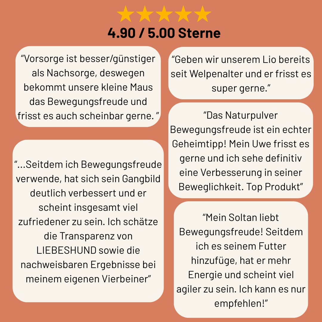 Naturpulver Bewegungsfreude