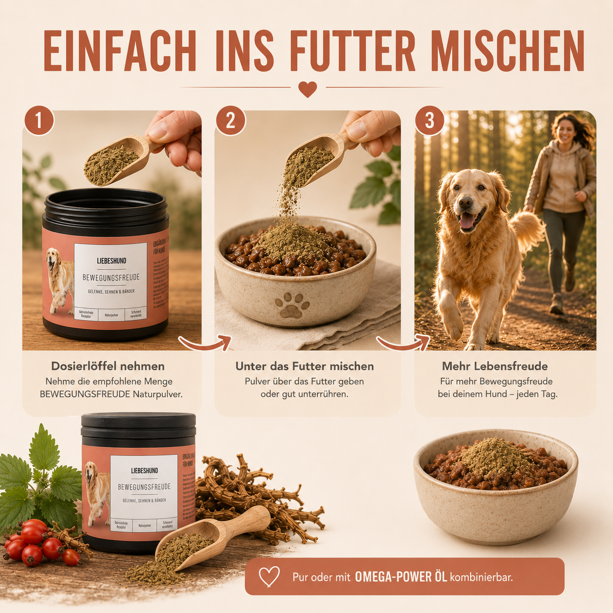 Bewegungsfreude Bundle