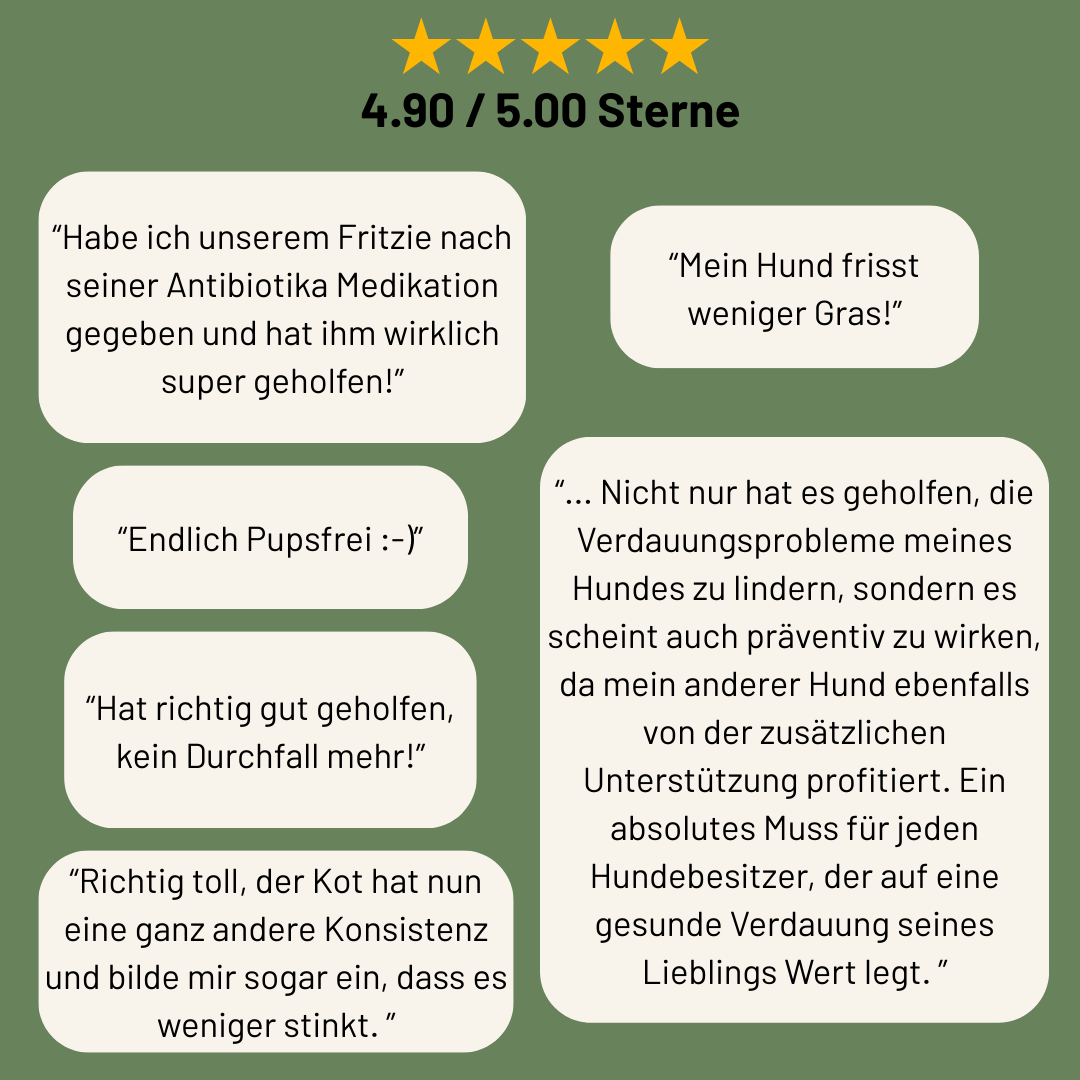 Darmglück Bundle