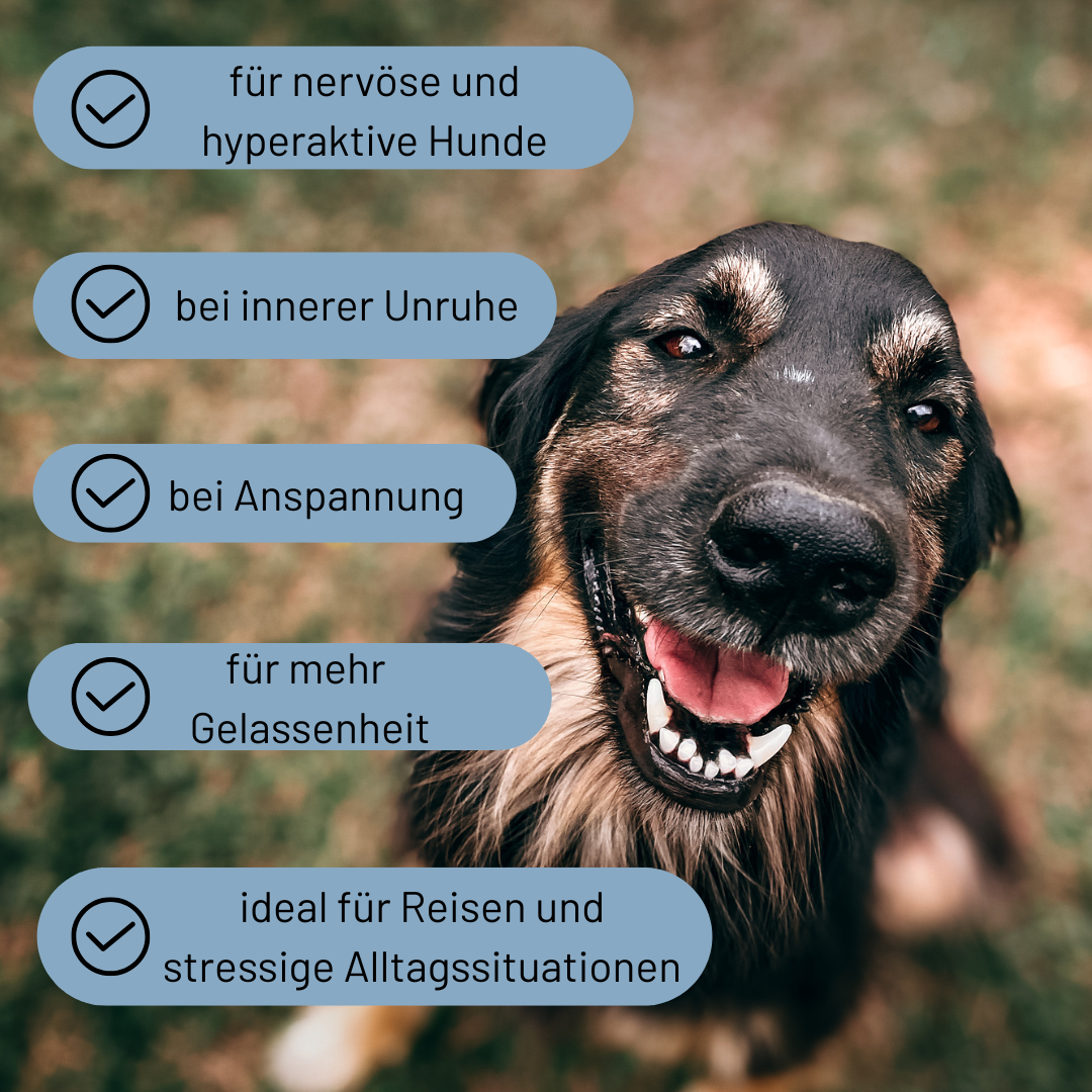 Nervenbalsam Bundle