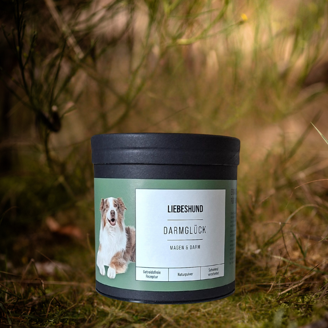 Naturpulver Darmglück