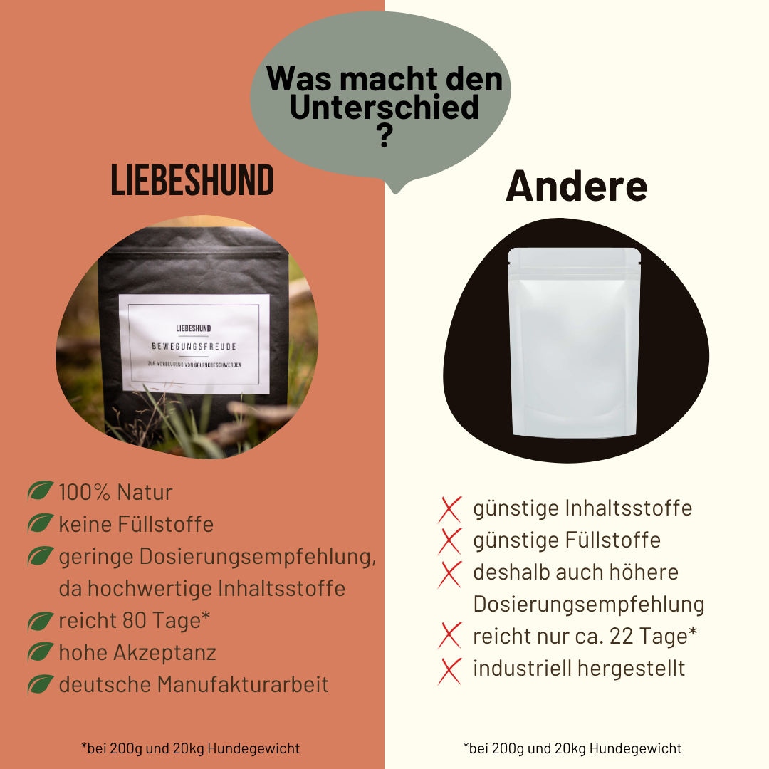 Bewegungsfreude Bundle