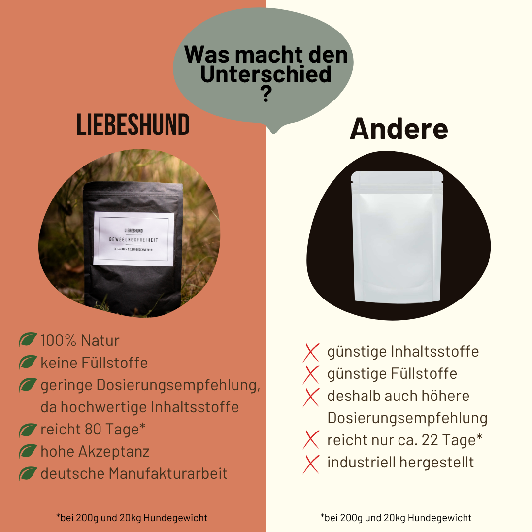 Bewegungsfreiheit Bundle
