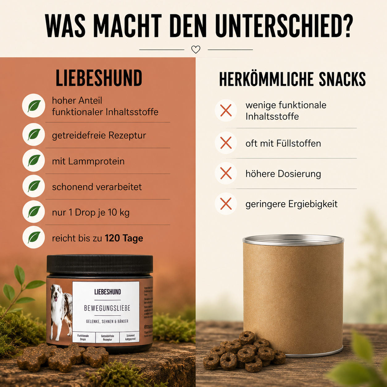 Bewegungsliebe Bundle